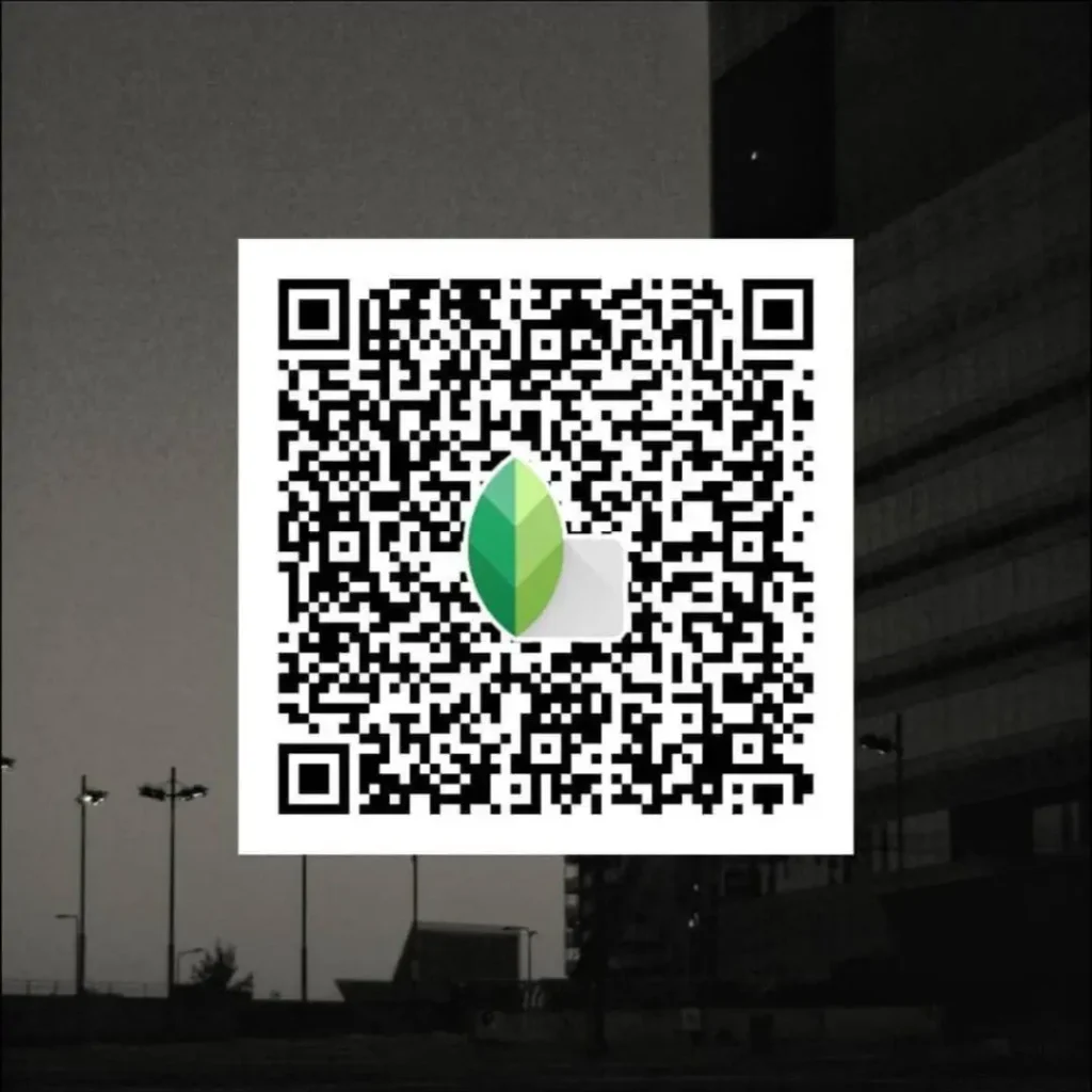 snapseed black white photo preset