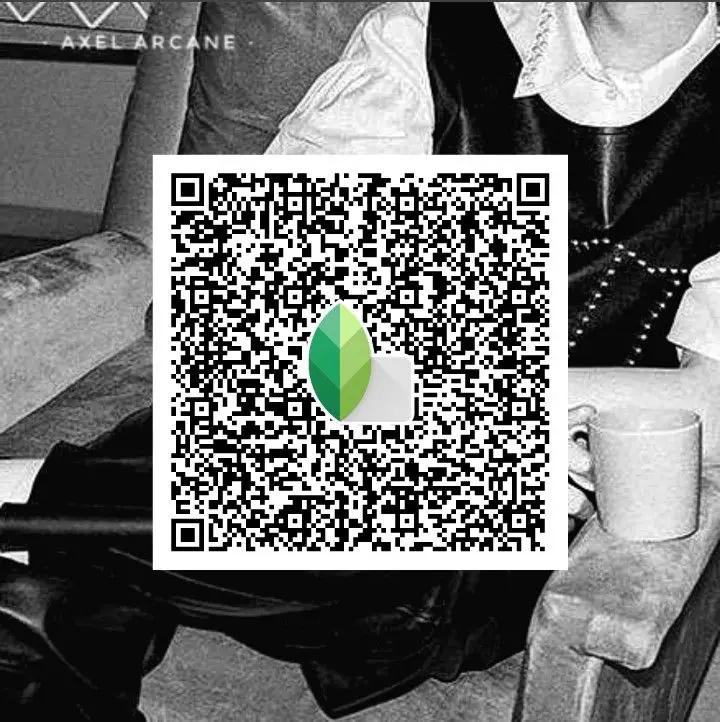 snapseed qr code monochrome look