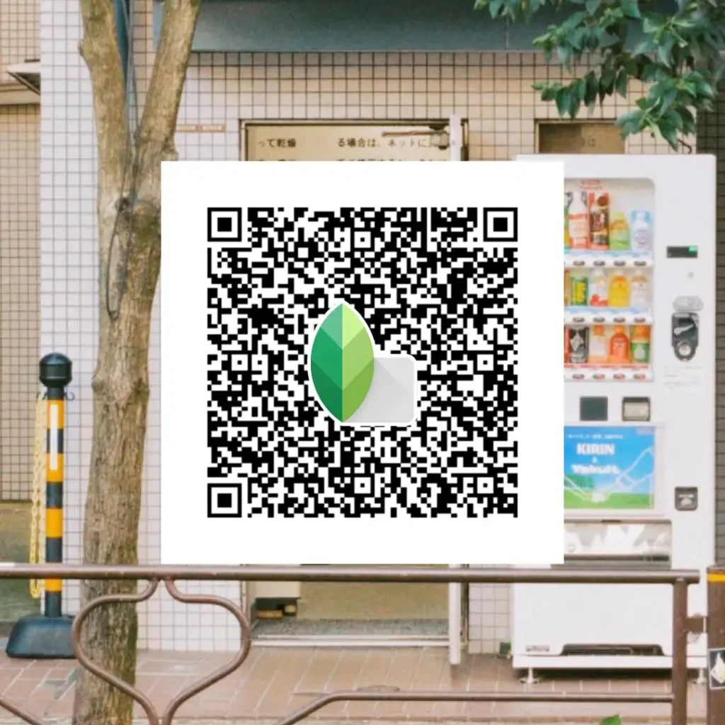 soft light monochrome snapseed