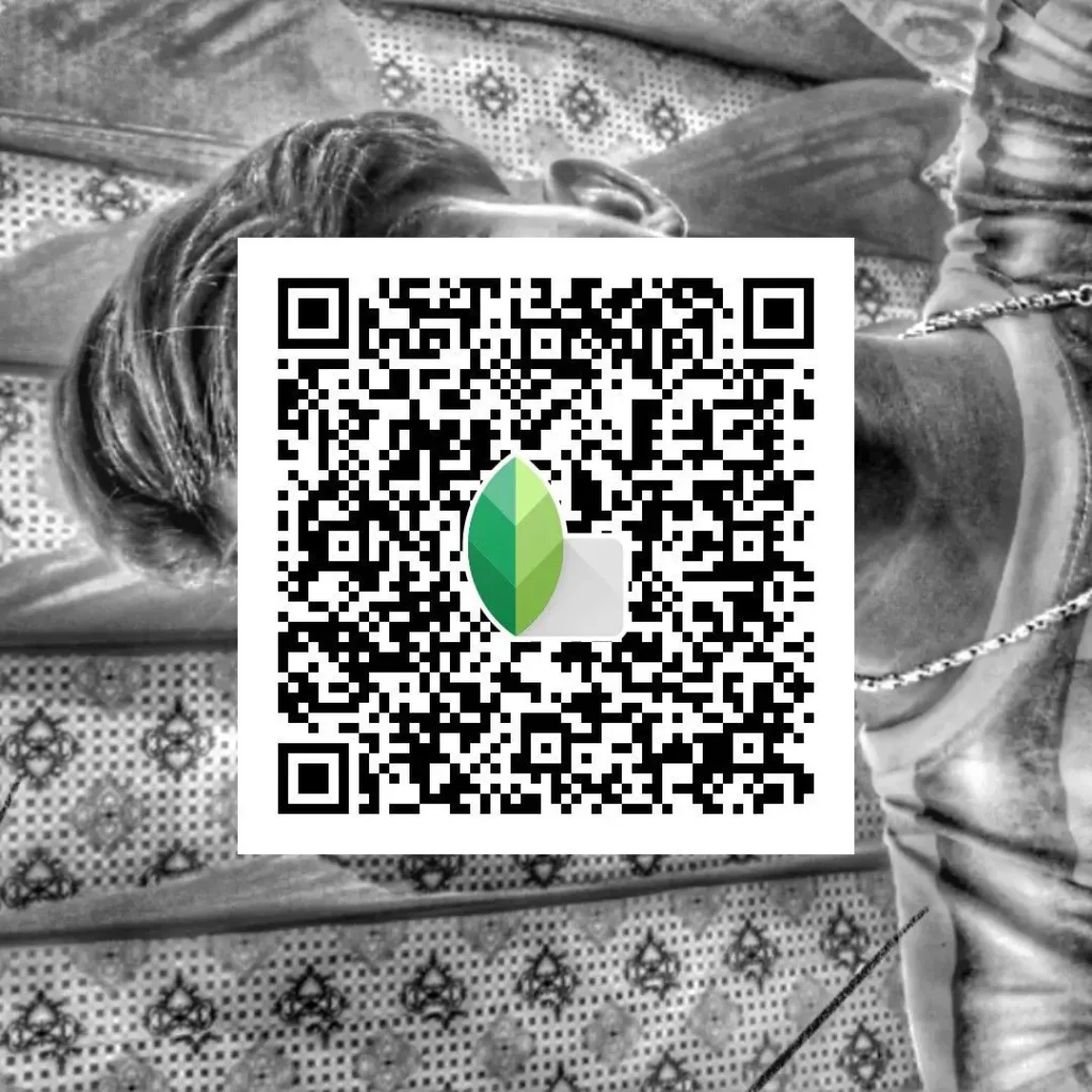 subtle grain bw snapseed preset